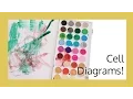 Crafting Cell Diagrams