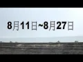 代罪羔羊完整版