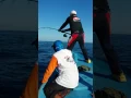 Download Lagu Fishing BLUE FIN TRAVELLY foul hook up From Maumere-flores-NTT