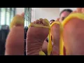 Ebony Pretty Feet Pretty Soles