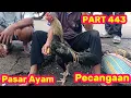Lagu PART 443 🛑 Pasar Ayam Pecangaan Jepara 