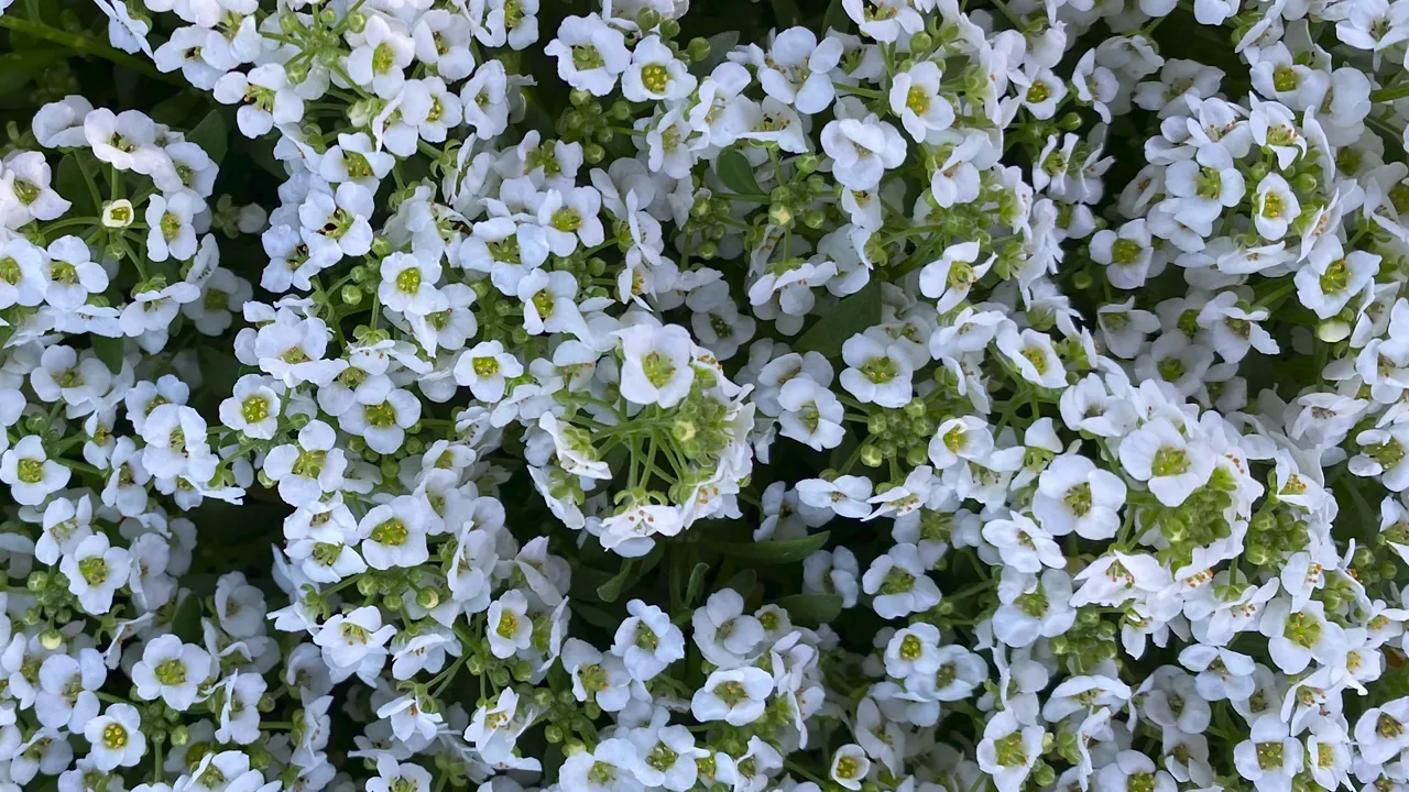 IDK You Yet - Luke Christopher