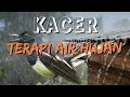 Download Lagu 🔴 Terapi KACER paling di Cari, Cocok Untuk Kacer Kurang Fighter