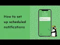 How to set up scheduled notifications in Smartly