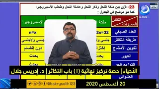 الأحياء حصة تركيز نهائية 1 باب التكاثر د إدريس جلال حصص الشهادة السودانية 2020 