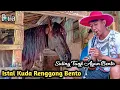 Lagu Suling Tanji Kuda Renggong Agan Bento - Istal Kuda Renggong Bento
