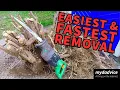 EASIEST FASTEST Removal of Bush Stump