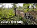 Download Lagu Moving Our Pigs Ahead of Weather Shift | This Year’s Pig Pastures, Next Year’s Cattle Fields