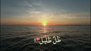 البدر كطلعته وجه  جميل    ماهر زين الدين    تصميم   دندنها
