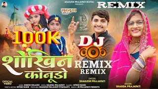  dj remix shailesh prajapati u0026 sharda prajapati new kanudo song 2025