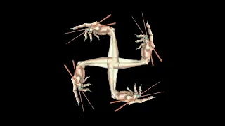 雲のすみか - 妖怪 [YOKAI]／(Visualizer)