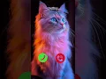 Download Lagu Calling ringtone 😯🤙🤙😎 #ringintone #ringtone #funny #irringtone #viringtone #mobileringtone