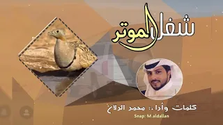 محمد الدلان   شغل الموتر   حصريا         دندنها