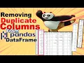 Remove Duplicate Columns from a Pandas DataFrame Automatically