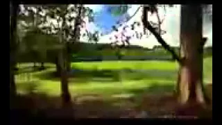 يارب جنه تجمعنا مع غالين دندنها