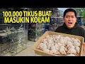 Download Lagu 100.000 TIKUS DARI PASAR BURUNG DIMASUKIN KE KOLAM DAN SEMUA HEWAN DI RUMAH!