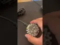 Adafruit Circuit-playground CPX Board Express CircuitPython 7 3 3