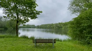 سورة يوسف كاملة بدون صدى صوت الشيخ محمد صديق المنشاوي رحمه الل ه 