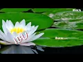 Download Lagu religi ibu (kaulah wanita yang mulia😘)