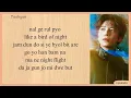 Bird of Night - TXT | Easy Lyrics