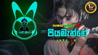 piyamanne reggae slowed mix jaya sri chali beats