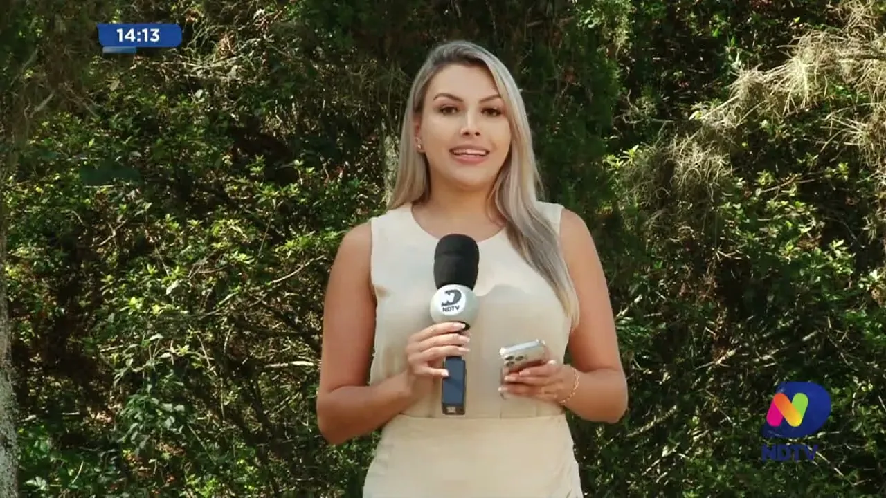 Confusão em Laurentino: mulher é presa após agredir homem com golpes de rastelo