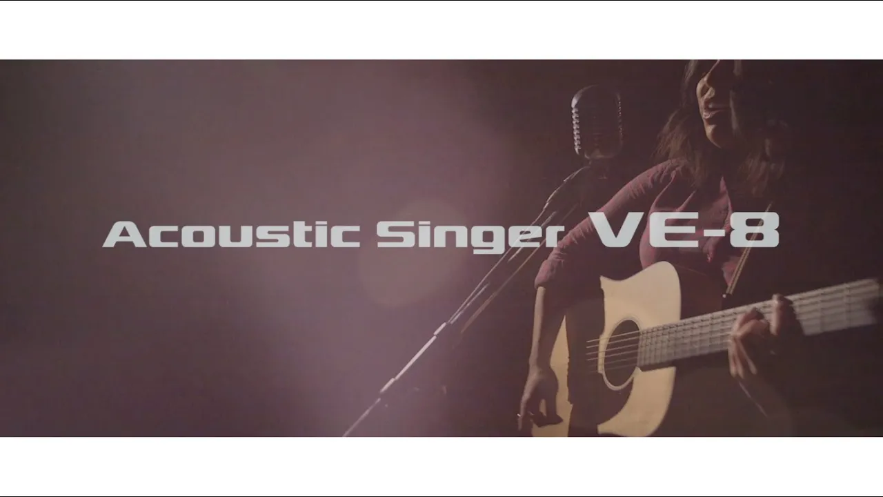 Boss VE-8 Acoustic Singer - Vintage King