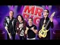 Mr Big LIVE at District 142 in Wyandotte MI - Full Show POV Front Row 2024
