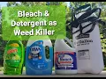 Bleach Detergent as a Weed Killer How Effective for How Long KimTownselYouTube