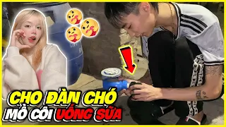 Download Bé Mon Cùng Đức Mõm Cho Đàn Chó Mồ Coi Uống Sữa | #bemontv #ducmomtv #bemon #ducmombemon MP3