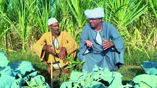  الحاج الضوى  هيطلق  ورده علشان عوزه تاكل نيوتيلا     دندنها