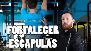 The Best Scapular Strength Exercises