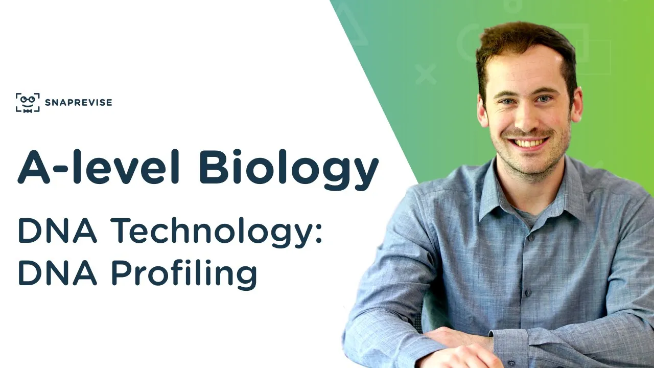 DNA Technology: DNA Profiling | A-level Biology | OCR, AQA, Edexcel