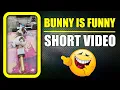 Download Lagu Bunny is always funny 😂 Dog fart #shorts | Harpreet SDC