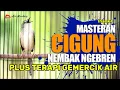 Download Lagu MASTERAN CIGUN SPID RAPET JEDA-JEDA MUDAH DI CERNA #kicaumania#birds #satuklikuntukwujudkanimpianmu 