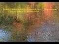 Download Lagu Schubert : Sonata in A for Arpeggione \u0026 Piano  -  I. Allegro moderato