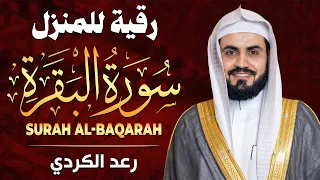 الشيخ رعد الكردي سورة البقرة النسخة الأصلية                                      دندنها