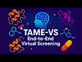 TAME-VS End-to-End Virtual Screening in Python