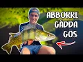 Download Lagu HOW MANY HOURS Will It Take To Catch PIKE / ZANDER / PERCH?! | Team Galant