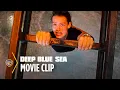 Deep Blue Sea Shark Tank Warner Bros Entertainment