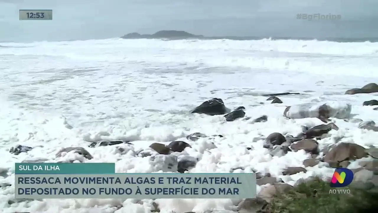 Ressaca movimenta algas e traz material depositado no fundo à superfície do mar