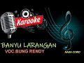 Download Lagu BANYU LARANGAN KARAOKE VERSI COWO