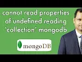 cannot read properties of undefined reading collection mongodb