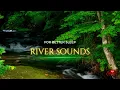 Download Lagu 1 Hour Peaceful River Flowing Sound. Gentle River, Relaxing Nature Sounds
