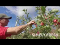 Visit Lawrence County - Simply Beautiful