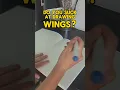 A very quick tutorial on wing anatomy