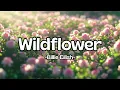 Download Lagu Billie Eilish - Wildflower || Lirik Lagu