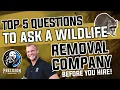 Top 5 Questions To Ask BEFORE Hiring A Wildlife Removal Company Avoid Costly Mistakes
