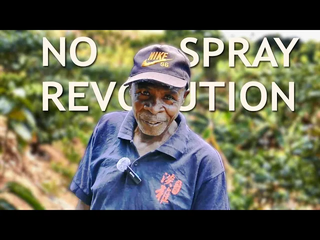 How Farmers in Uganda are changing their Future with Coffee and Honey ☕🐝