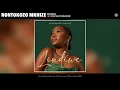 Nontokozo Mkhize - Ekhaya (Official Audio) (feat. Shwi Mantombazane)